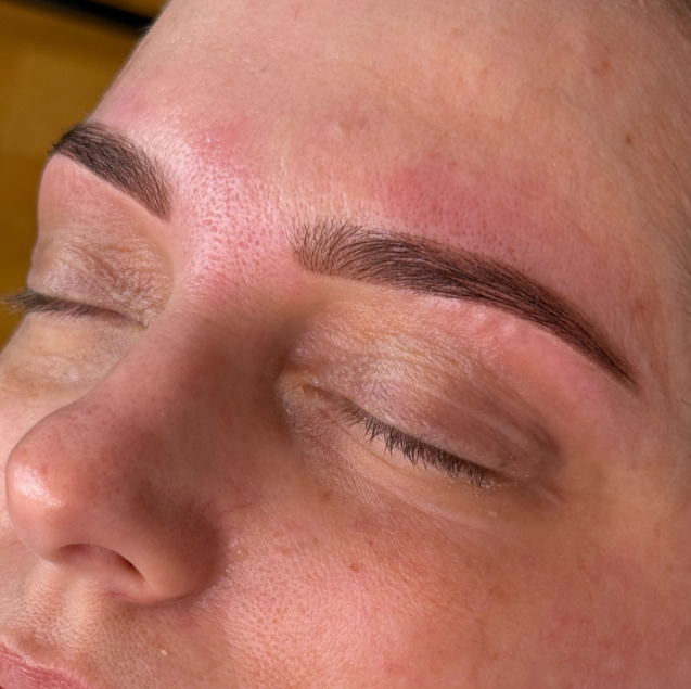 Brow Sculpt & Hybrid Dye