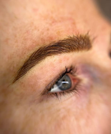 Brow Lami + Hybrid Dye