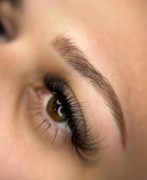 Brow Lami (no Tint)